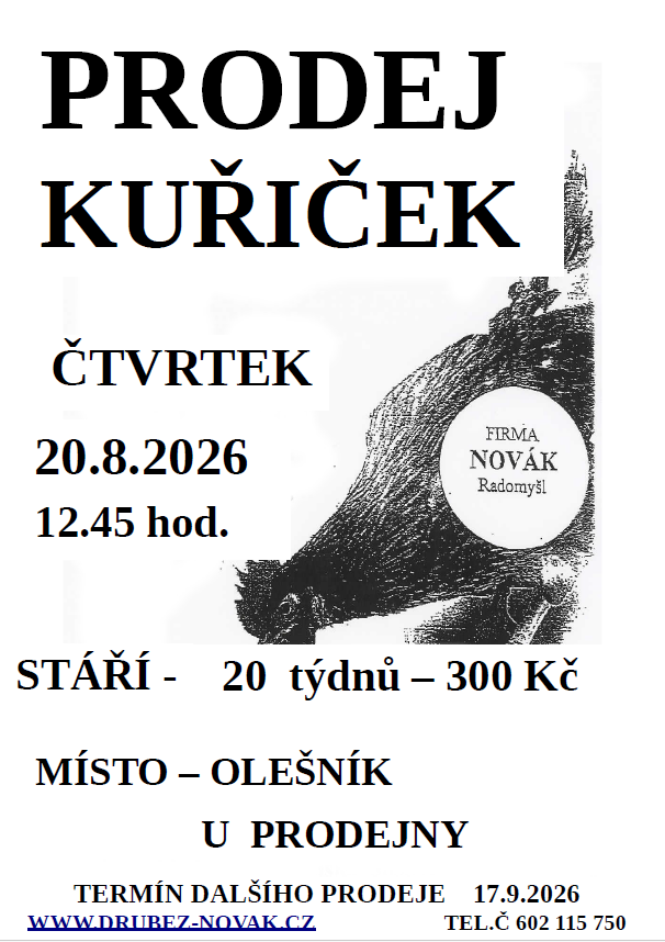 Prodej kuřiček - Olešník 